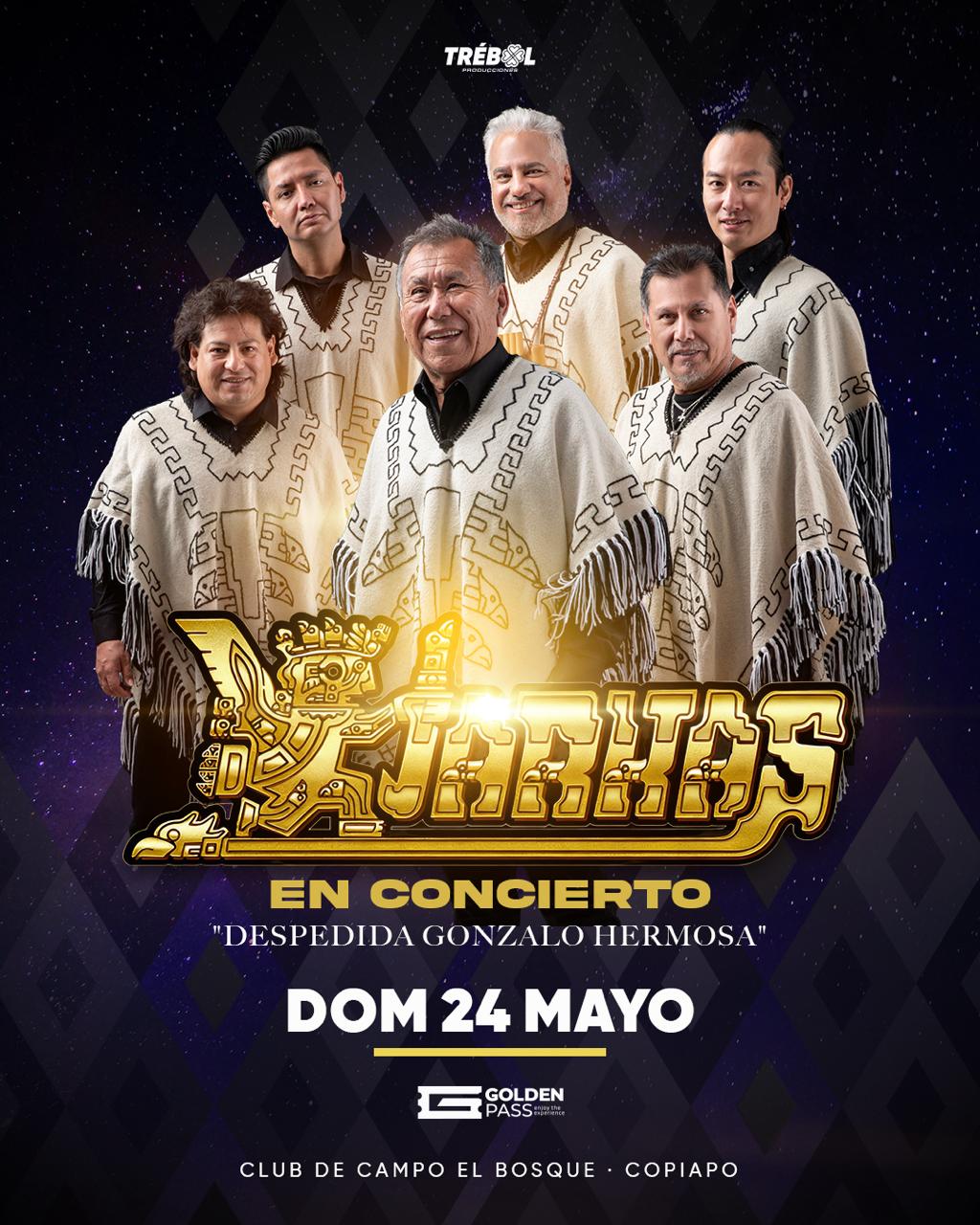 WhatsApp Image 2026-02-23 at 11.42.03 WhatsApp Image 2026-02-23 at 11.42.03